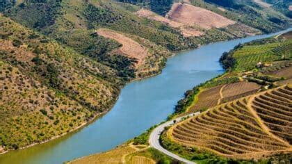 things to do in lamego|Lamego, The Coziest Town In The Heart Of The Douro Valley